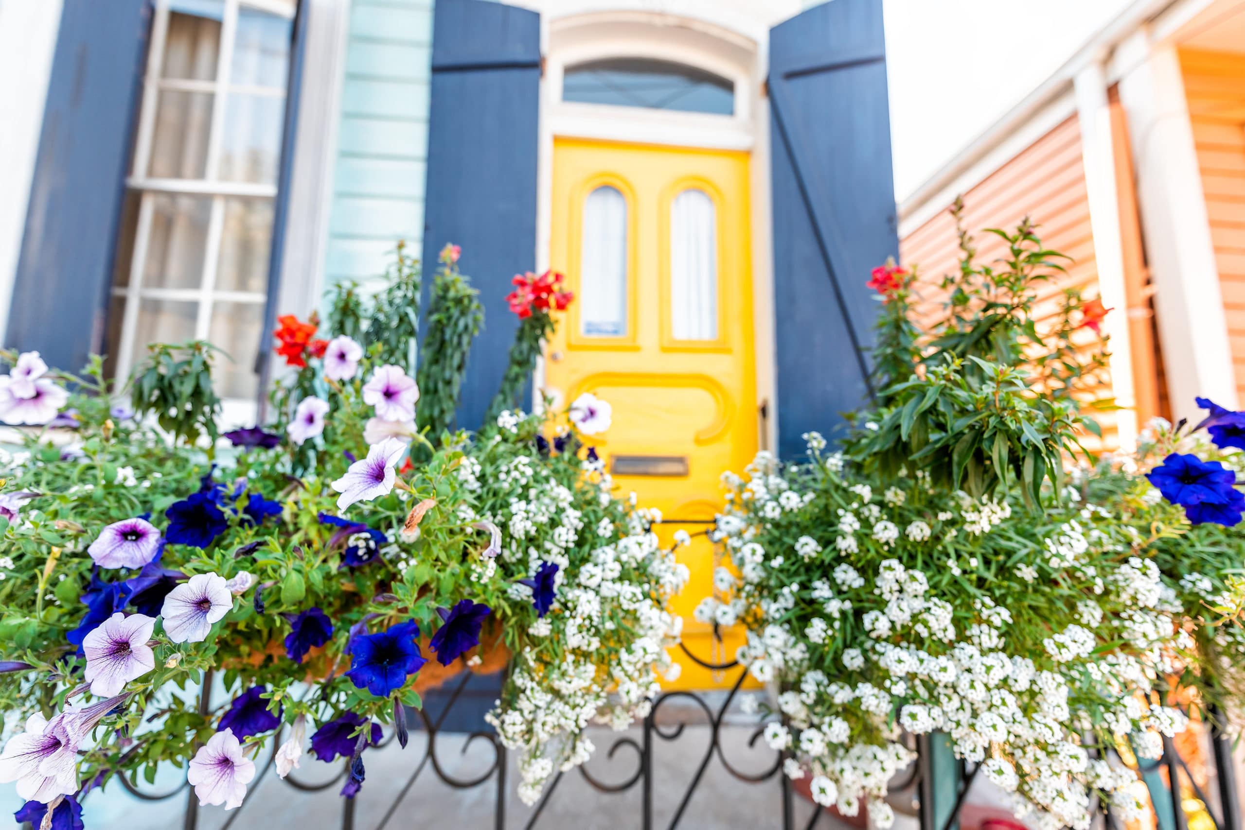 a yellow door with blue shutters is surrounded by flowers