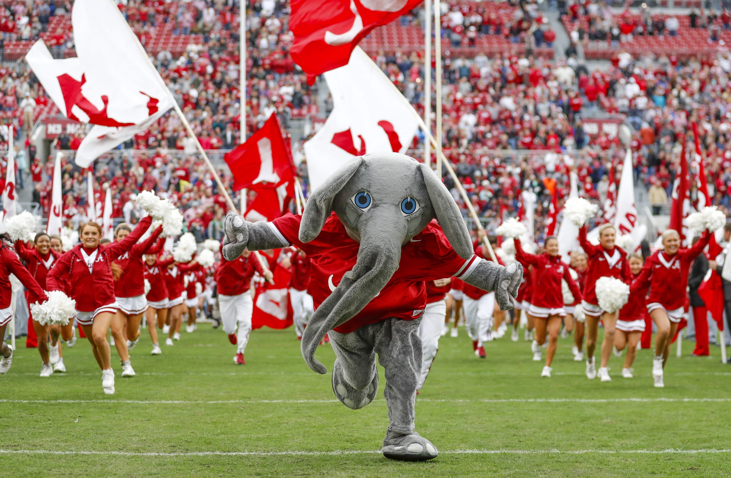 http://a%20mascot%20for%20the%20alabama%20crimson%20tide%20leads%20cheerleaders%20on%20a%20field