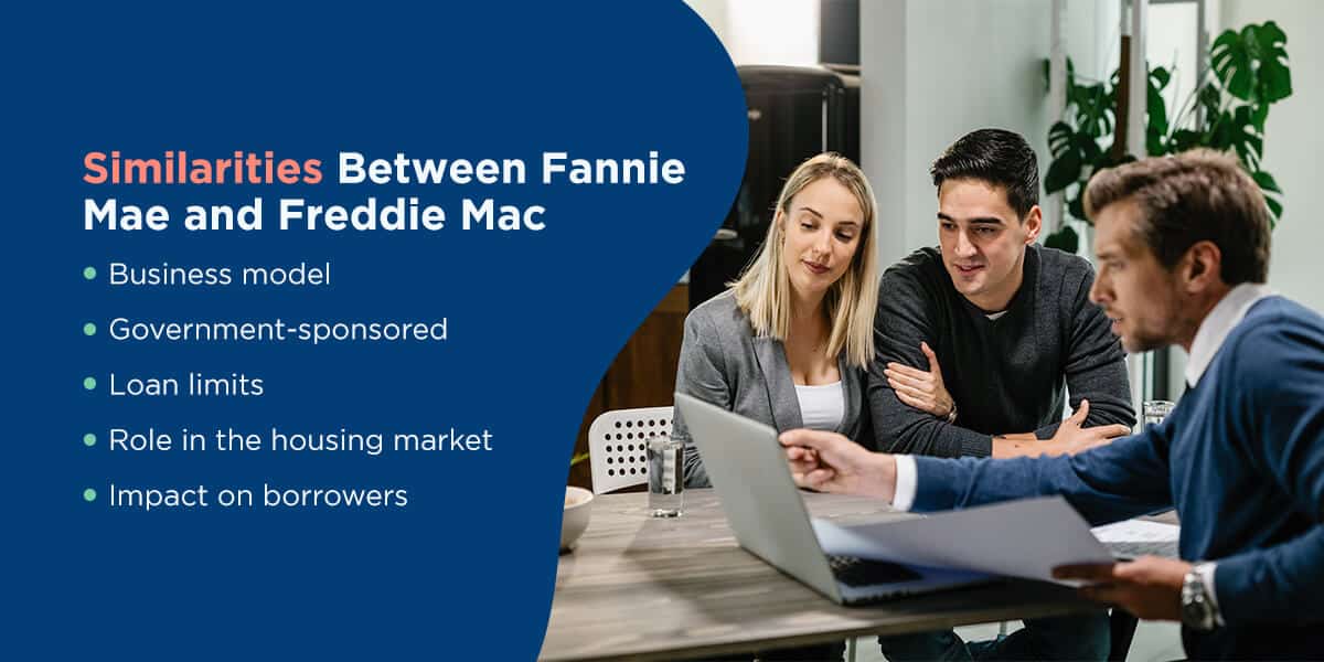similarities-between-fannie-mae-and-freddie-mac
